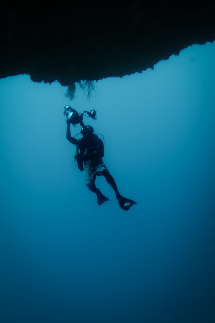 Understanding Marine Life in the Maldives