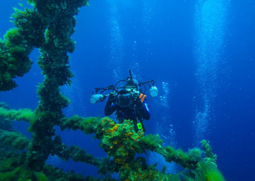 Top Dive Locations in the Maldives